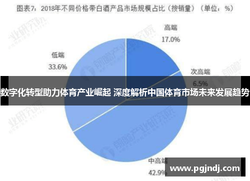 数字化转型助力体育产业崛起 深度解析中国体育市场未来发展趋势